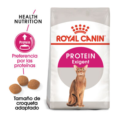 Royal Canin Adult Exigent Protein pienso para gatos